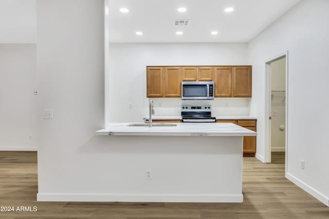 kitchen featuring sink, light wood-type flooring, and appliances with stainless steel finishes