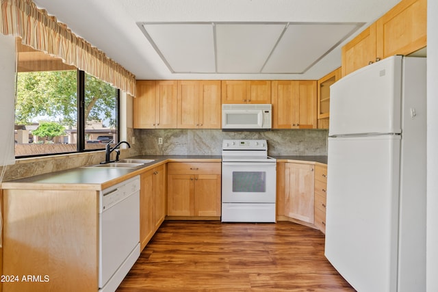 kitchen featuring tasteful backsplash, light brown cabinets, a sink, wood finished floors, and white appliances