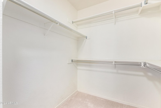 spacious closet featuring carpet flooring