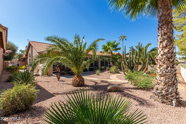 view of yard featuring a patio area