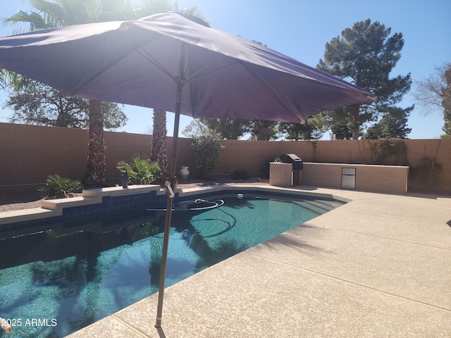 view of pool with a patio, a fenced backyard, and a fenced in pool