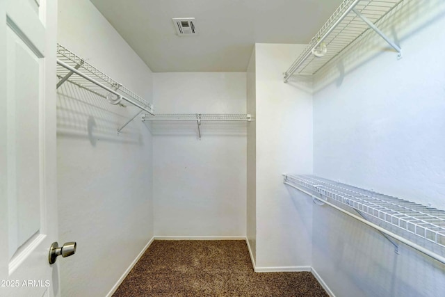 10524 W Pima St, Tolleson, AZ 85353 - walk in closet featuring carpet floors