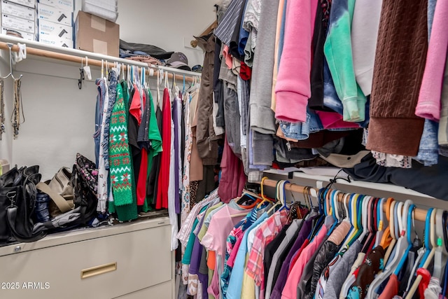 5271 E 10th Ave, Apache Junction, AZ 85119 - view of walk in closet