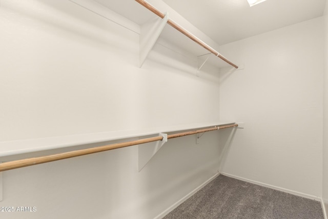 spacious closet featuring dark colored carpet