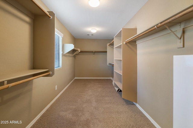 2614 E Carob Dr, Gilbert, AZ 85298 - spacious closet featuring carpet flooring