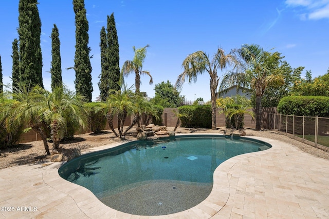 2614 E Carob Dr, Gilbert, AZ 85298 - view of pool featuring a fenced backyard and a patio area