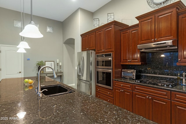 kitchen featuring a toaster, tasteful backsplash, appliances with stainless steel finishes, under cabinet range hood, and a sink