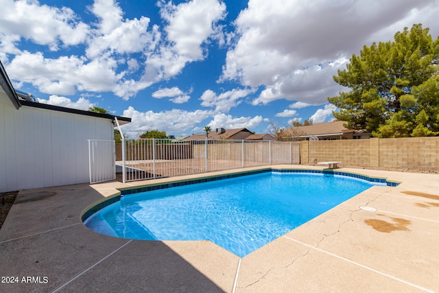 view of pool featuring a patio and a diving board