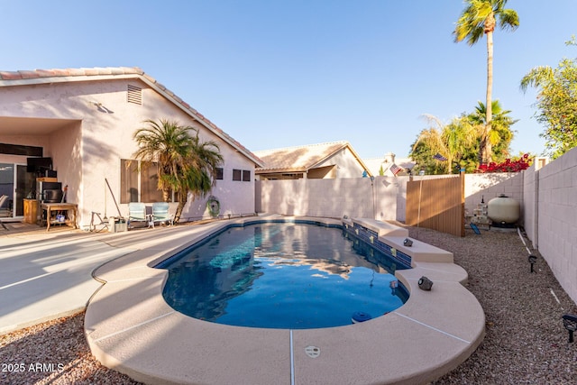 view of pool featuring a patio