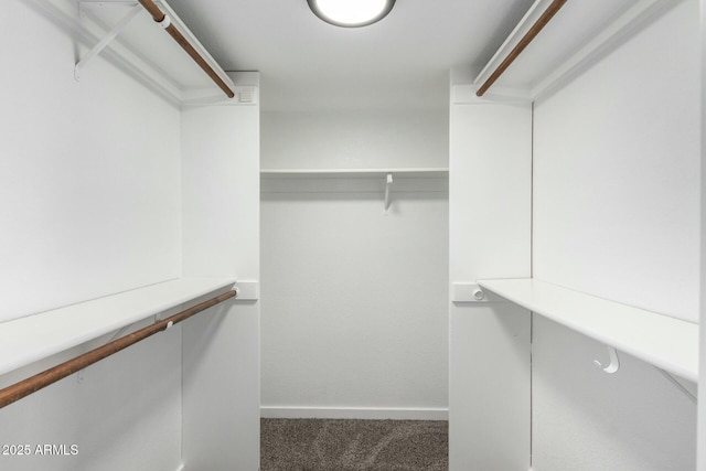 spacious closet with carpet flooring