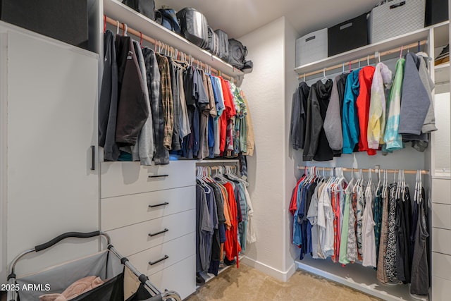 spacious closet with carpet
