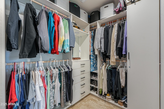 view of walk in closet