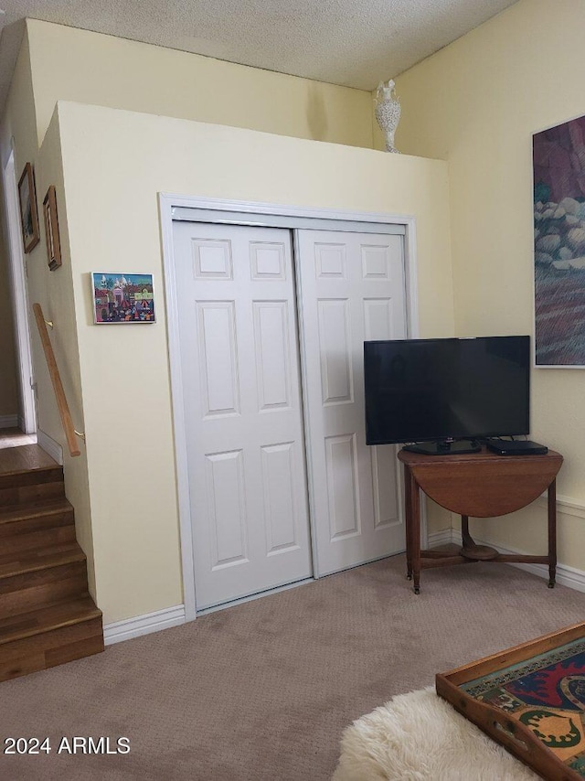 bedroom featuring carpet flooring, a textured ceiling, and a closet