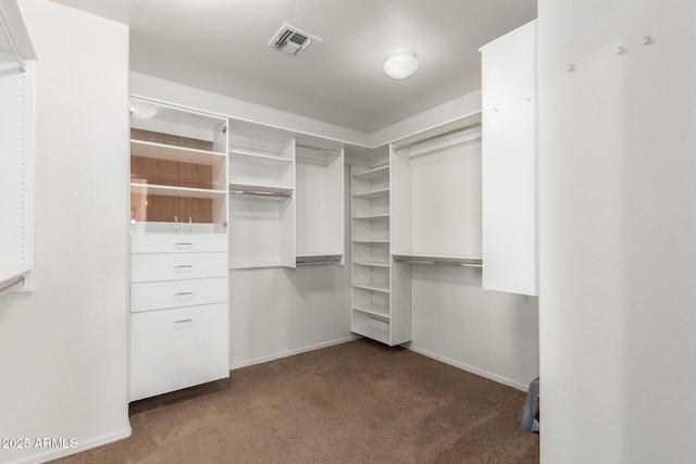 spacious closet featuring carpet floors and visible vents