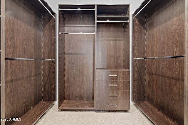 view of walk in closet