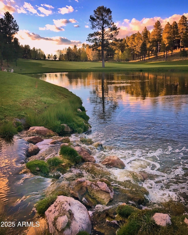 property view of water
