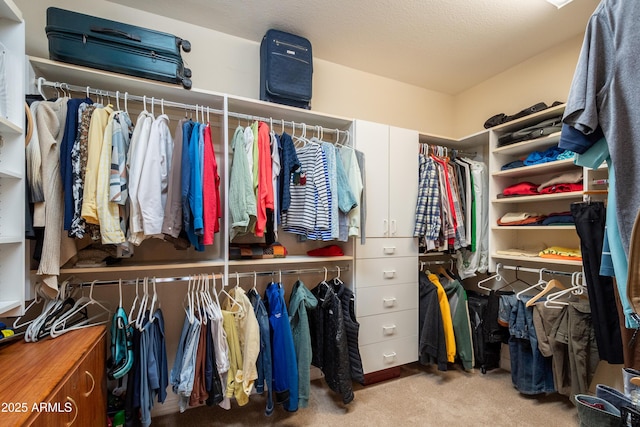 spacious closet with light colored carpet