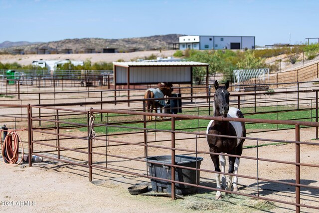 view of horse barn featuring a rural view