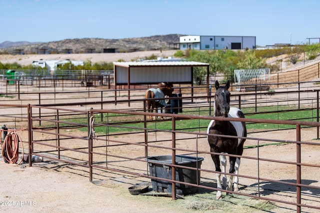 view of horse barn with a rural view