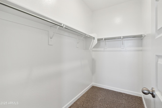 spacious closet with carpet flooring