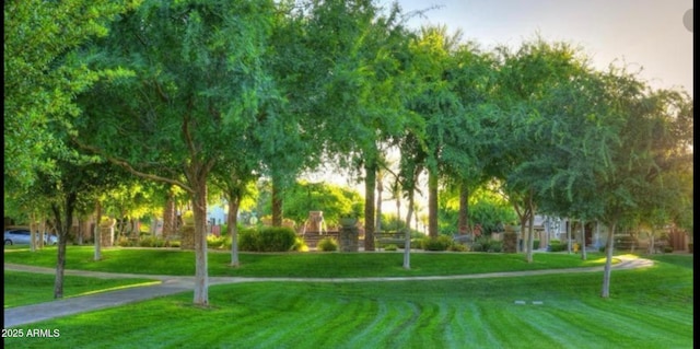 view of home's community featuring a yard