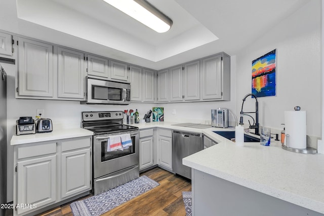 kitchen with dark wood finished floors, a raised ceiling, appliances with stainless steel finishes, gray cabinets, and a sink