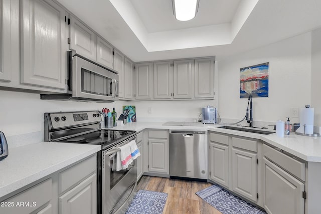 kitchen featuring a sink, light countertops, appliances with stainless steel finishes, light wood finished floors, and a raised ceiling