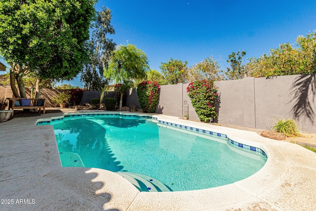 view of swimming pool with a fenced in pool and a fenced backyard