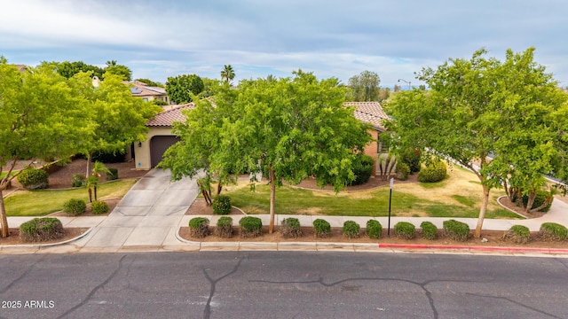 20532 W Summit Pl, Buckeye, AZ 85396 - obstructed view of property with a tile roof, driveway, a garage, stucco siding, and a front lawn