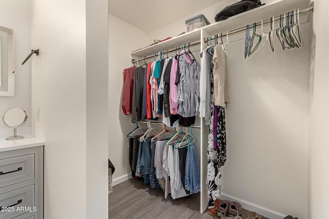 2826 E Cactus Rd, Phoenix, AZ 85032 - spacious closet with wood finished floors