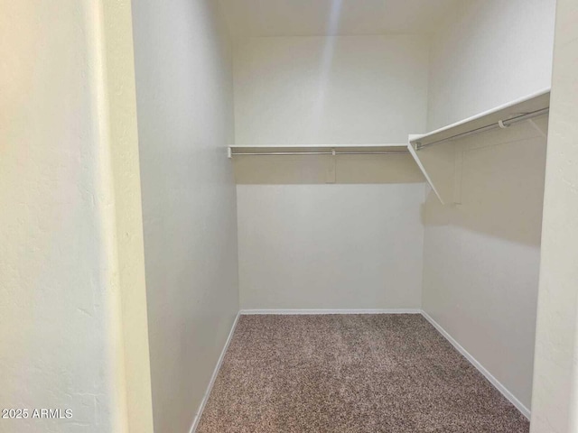 spacious closet with carpet flooring