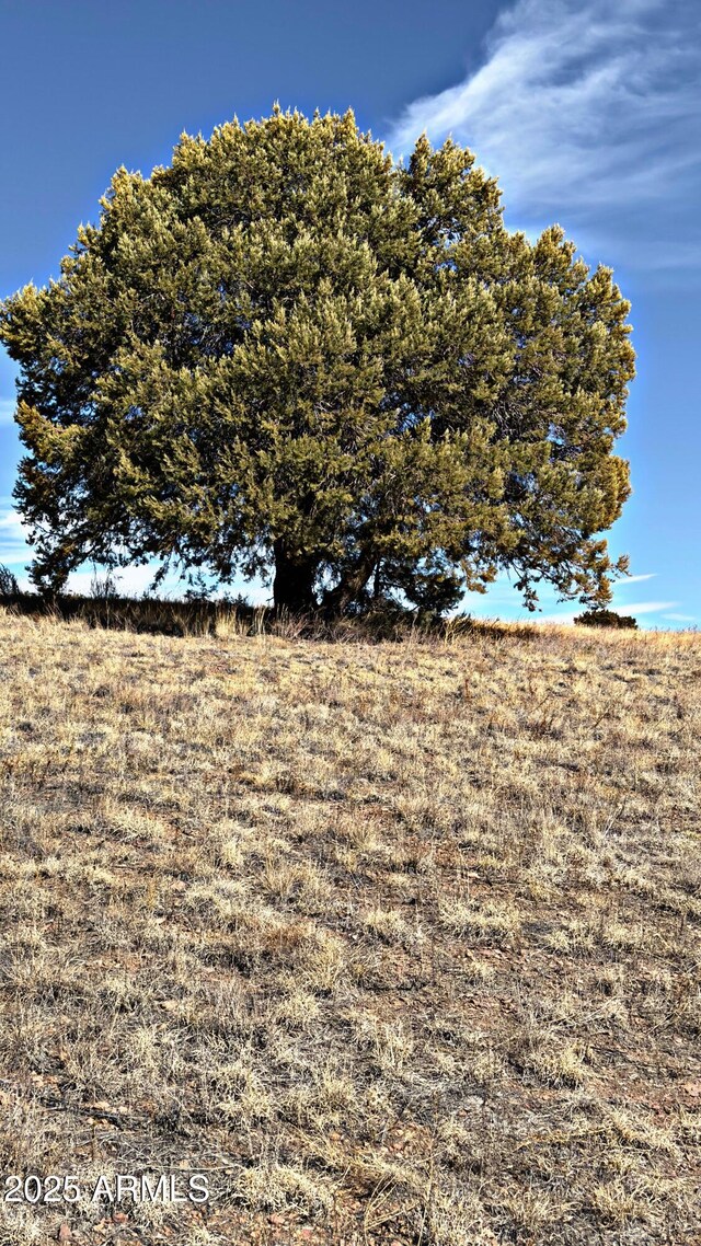 TBD W Baker Ranch Rd -, Unit Young, AZ 85554