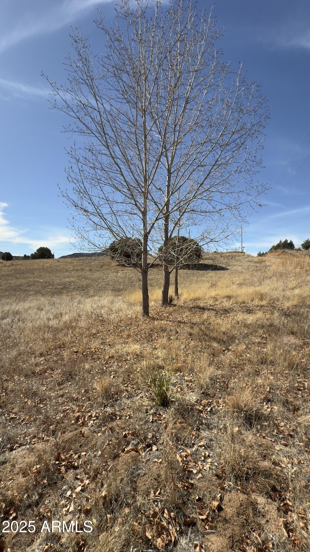 Listing photo 2 for TBD W Baker Ranch Rd -, Unit Young AZ 85554