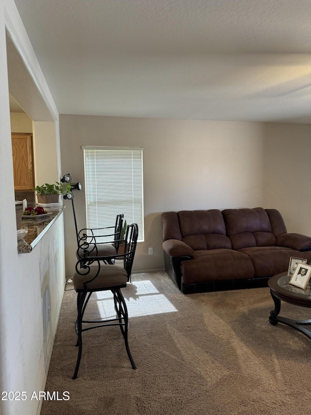 living room with carpet flooring