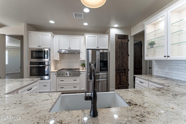 6397 E Red Oak Cir, Hereford, AZ 85615 - kitchen featuring under cabinet range hood, white cabinets, light stone counters, a sink, and appliances with stainless steel finishes