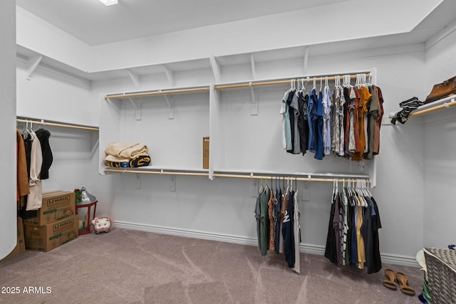 5250 S Wesley Cir, Mesa, AZ 85212 - walk in closet featuring carpet floors