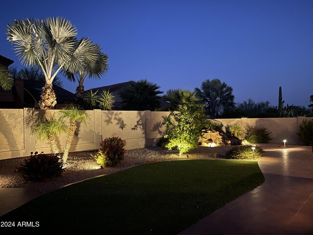 view of yard with a patio area