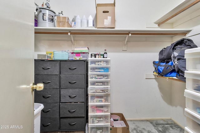 spacious closet with carpet flooring