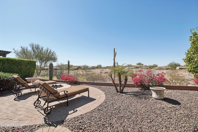 view of yard with a patio