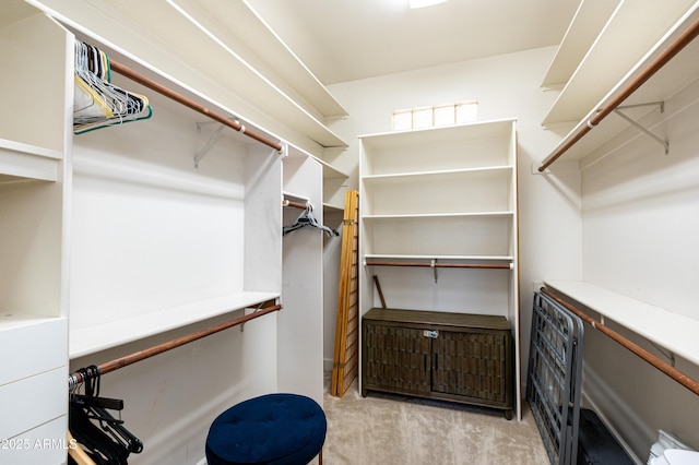 spacious closet with heating unit and light carpet