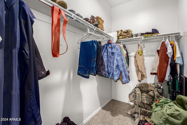 walk in closet featuring carpet flooring