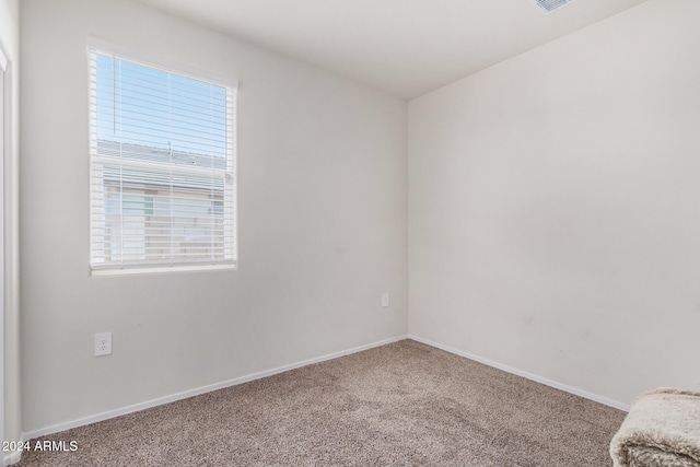 carpeted spare room with a healthy amount of sunlight