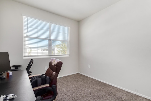 home office with carpet