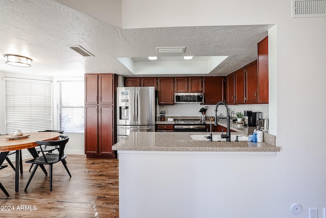 kitchen featuring a raised ceiling, sink, dark hardwood / wood-style floors, a textured ceiling, and appliances with stainless steel finishes