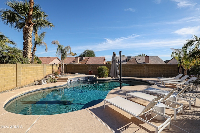 view of pool with a patio area