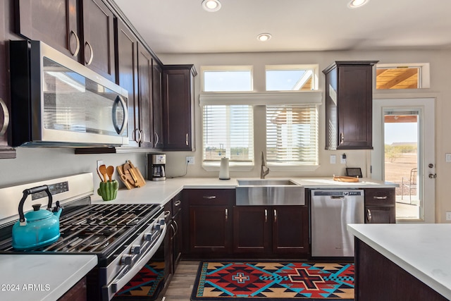 kitchen featuring appliances with stainless steel finishes, dark brown cabinetry, plenty of natural light, and sink