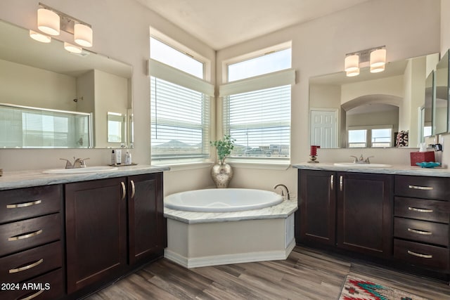 bathroom with hardwood / wood-style floors, vanity, separate shower and tub, and a healthy amount of sunlight