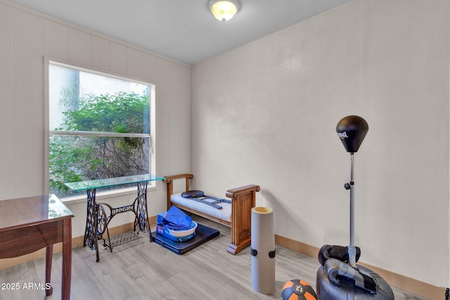 interior space with light wood-type flooring and a healthy amount of sunlight