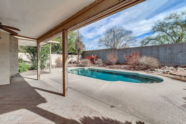 view of swimming pool featuring a patio and ceiling fan