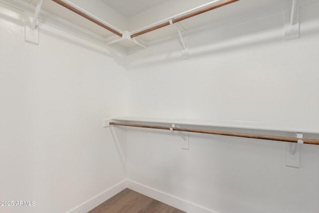 walk in closet featuring wood finished floors